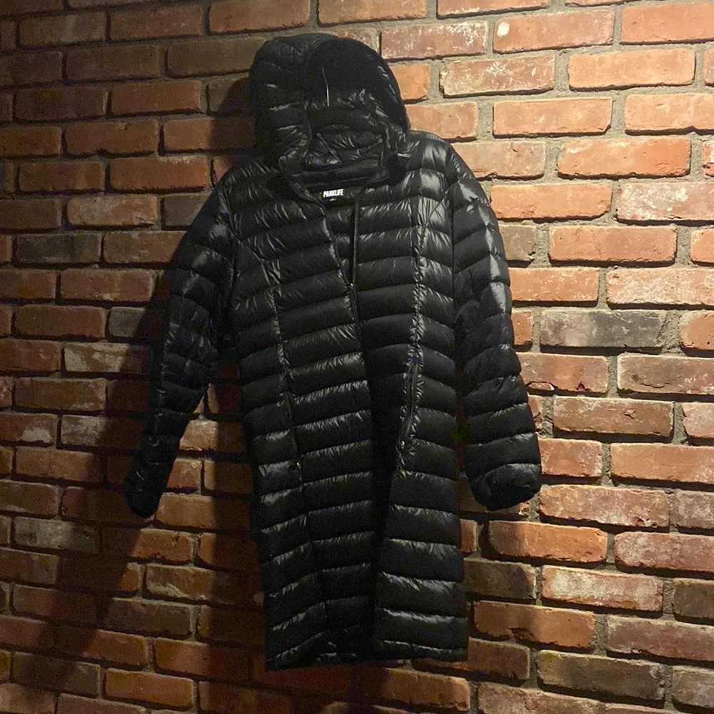 Aritzia Parklife down puffer